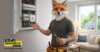 image coffret renard